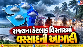 Gujarat Rain: ગુજરાતના મધ્ય-પૂર્વ અને સરહદી જિલ્લાઓમાં હળવા વરસાદી ઝાપટાંની શક્યતા