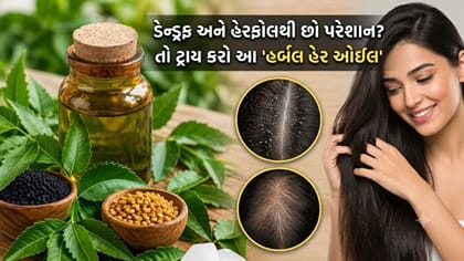 ઘરે જ બનાવો કઢી પત્તાનું હર્બલ તેલ! હેરફોલ અને ડેન્ડ્રફ થશે 'ગાયબ'