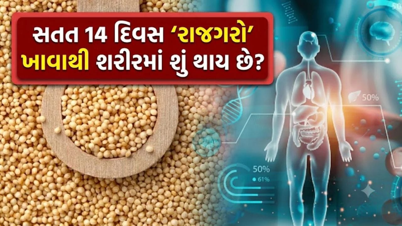 What happens to the body by eating 'Rajgaro' for 14 consecutive days? Know the miraculous benefits of this superfood
