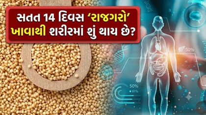 સતત 14 દિવસ 'રાજગરો' ખાશો તો શરીરમાં થશે આ 'મોટા ફેરફારો'