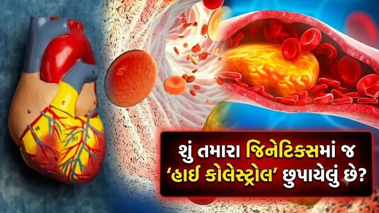 જિનેટિક્સમાં જ છે હાઈ કોલેસ્ટ્રોલનું જોખમ? ગભરાશો નહીં, સારા ડાયટથી તેની અસર ઘટી શકે છે
