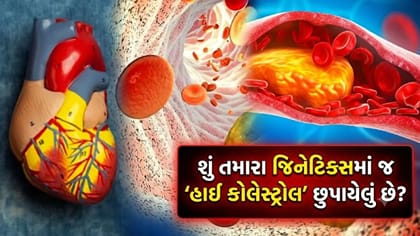 જિનેટિક્સમાં 'હાઈ કોલેસ્ટ્રોલ'નું જોખમ? સારા ડાયટથી અસર ઘટી જશે
