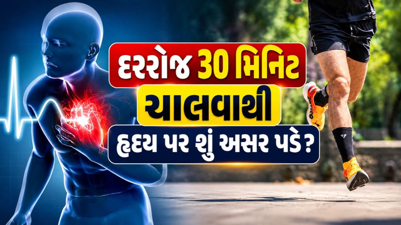 Heart Health : દરરોજ 30 મિનિટ ચાલવાથી હૃદય પર શું અસર પડે છે? નવા સંશોધન વિશે જાણો Heart Health : દરરોજ 30 મિનિટ ચાલવાથી હૃદય પર શું અસર પડે છે? નવા સંશોધન વિશે જાણો