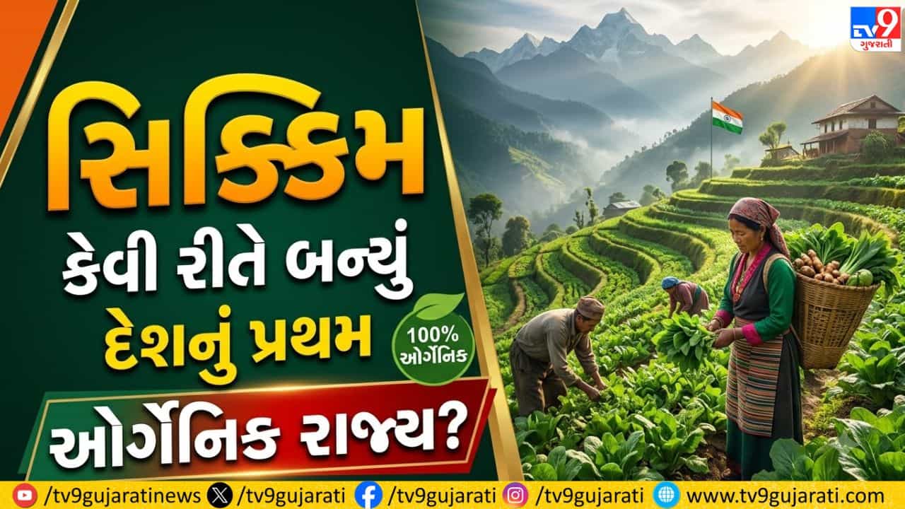જ્યાં અમેરિકા-ચીન જેવા દેશો પણ નિષ્ફળ ગયા ત્યાં સિક્કિમે કરી બતાવ્યું: જાણો કેવી રીતે બન્યું વિશ્વનું સૌપ્રથમ 100% ઓર્ગેનિક રાજ્ય