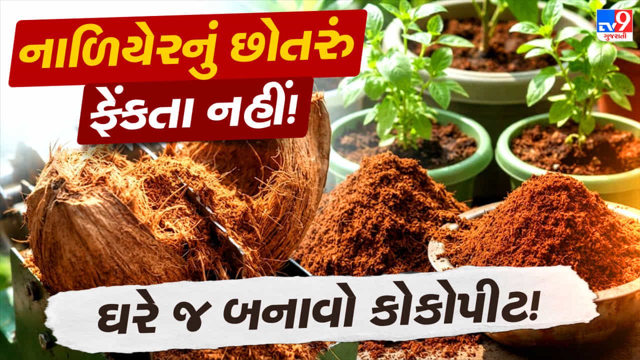 How To Make Cocopeat : નાળિયેરના છોતરાં ફેંકતા પહેલાં થોભો ! ઘરે જ બનાવો મોંઘું કોકોપીટ, છોડની માટી બની જશે વધુ સારી
