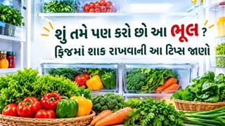 Vegetables Storage Tips: ફ્રિજમાં મૂક્યા પછી પણ કોથમીર-મેથી કેમ થાય છે ખરાબ? શાકભાજી તાજી રાખવા અપનાવો આ ટિપ્સ