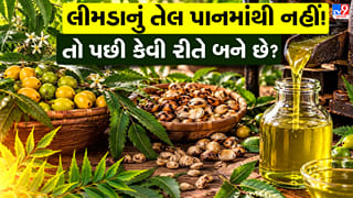 How To Make Neem Oil : ઘરે જ બનાવો લીમડાનું શુદ્ધ તેલ, જાણો બીજમાંથી તેલ કાઢવાની દેશી રીત