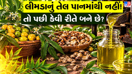 લીમડાનું તેલ ઘરે બનાવો! જાણો બીજમાંથી તેલ કાઢવાની દેશી રીત