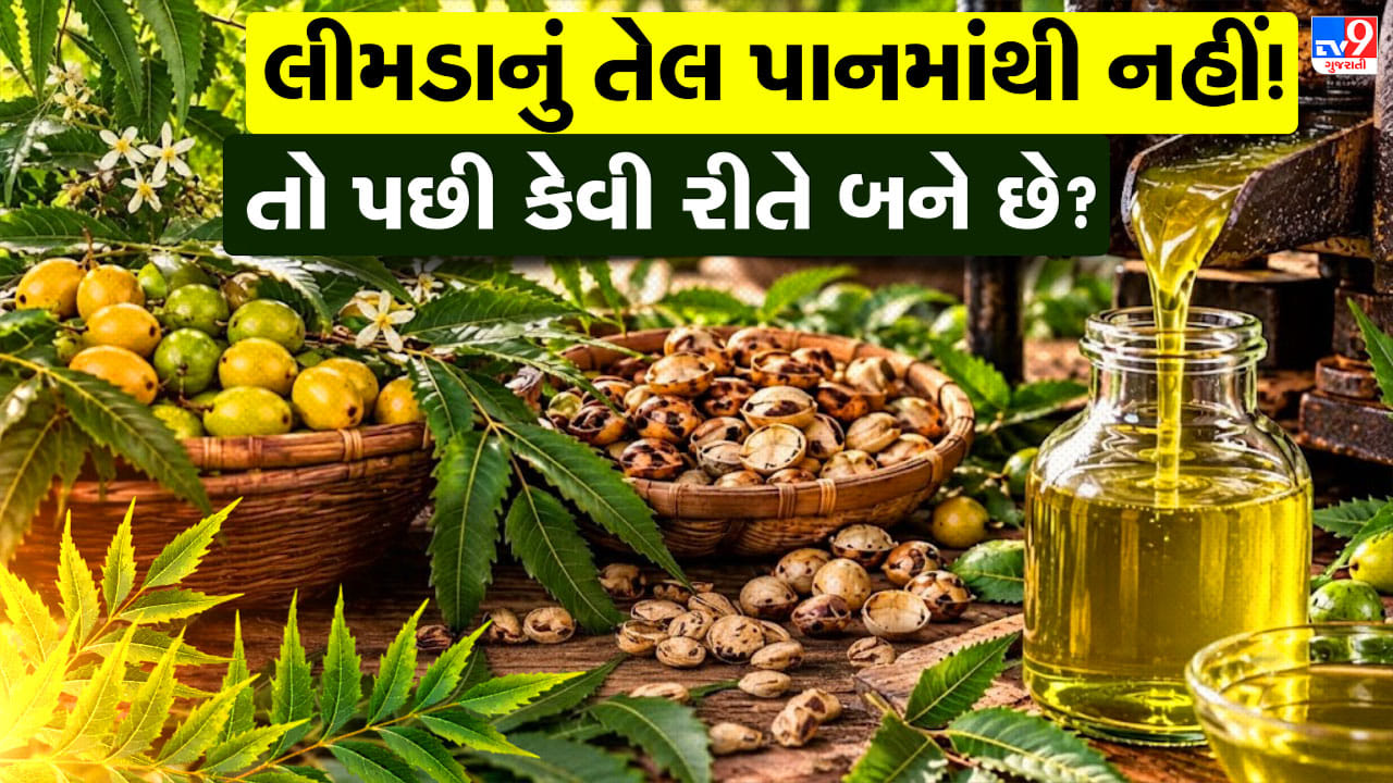How To Make Neem Oil : ઘરે જ બનાવો લીમડાનું શુદ્ધ તેલ, જાણો બીજમાંથી તેલ કાઢવાની દેશી રીત