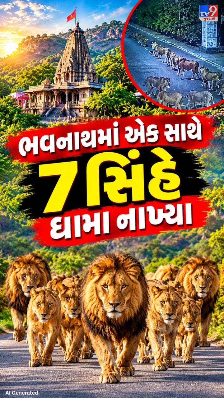 અશોક શિલાલેખ પાસે રસ્તો ક્રોસ કરતા સિંહ CCTVમાં કેદ