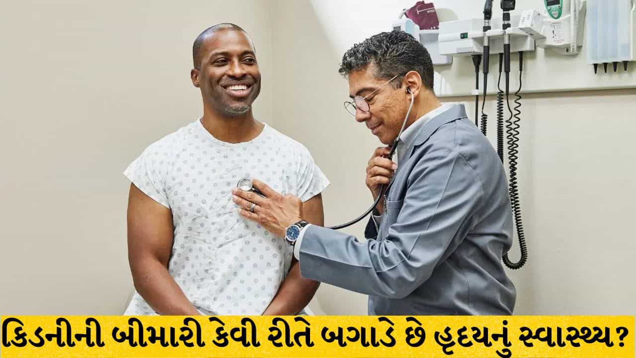 કિડનીની બીમારી હૃદયના સ્વાસ્થ્ય પર કેવી રીતે અસર કરે છે? જાણો નિષ્ણાતોનો અભિપ્રાય
