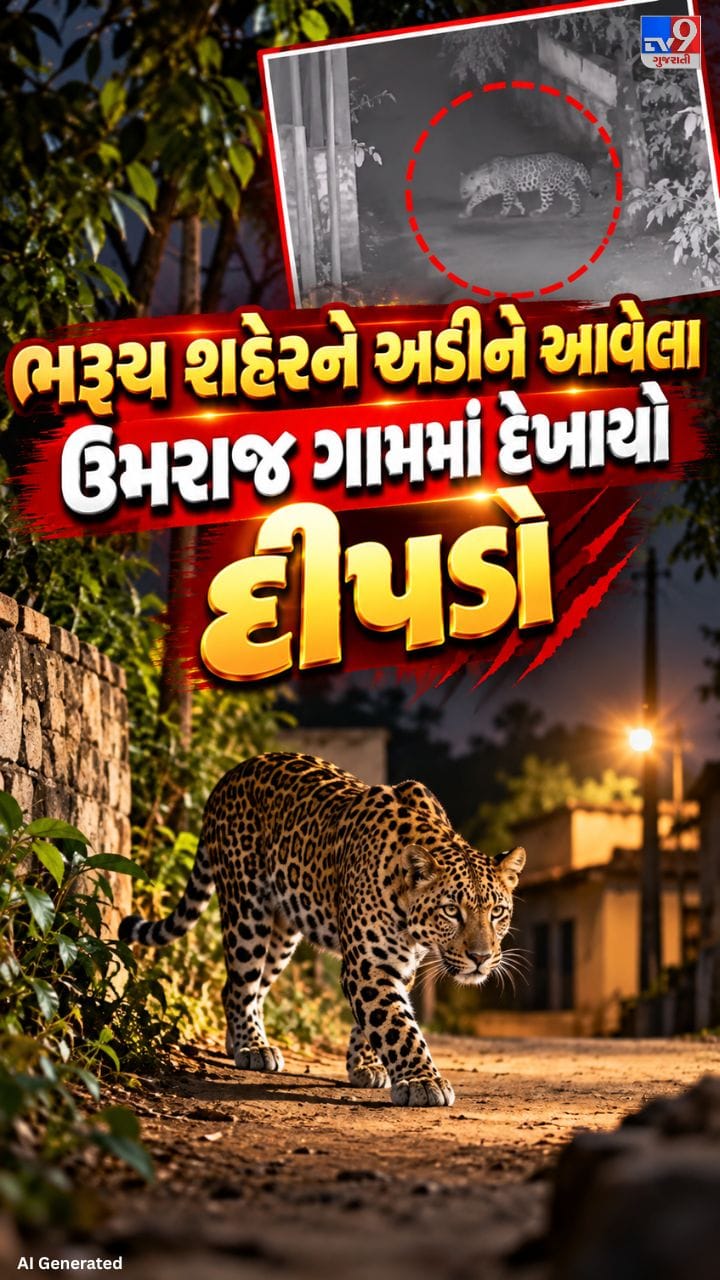 ભરૂચ નજીક દીપડાની લટાર!