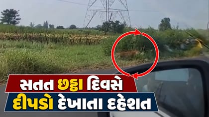 નવસારીમાં સતત છઠ્ઠા દિવસે દીપડો દેખાતા દહેશત