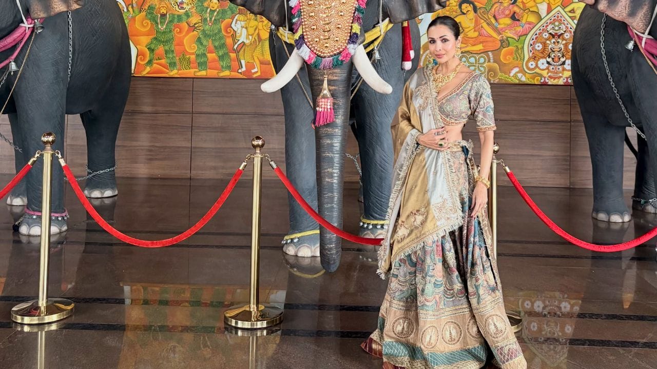 મલાઈકા અરોરા એક દીકરાની માતા છે.તે ઘણી મોટી લાઇફસ્ટાઇલ, ફેશન અને બ્યુટી બ્રાન્ડ્સના એન્ડોર્સમેન્ટમાંથી સારી કમાણી કરે છે.