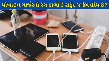 મોબાઇલ ચાર્જરનો રંગ કાળો કે સફેદ જ કેમ હોય છે?