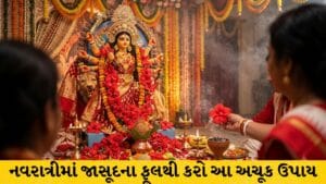 નવરાત્રીમાં જાસૂદના ફૂલથી કરો આ ઉપાય, તિજોરી ધન-ધાન્યથી ભરાઈ જશે!