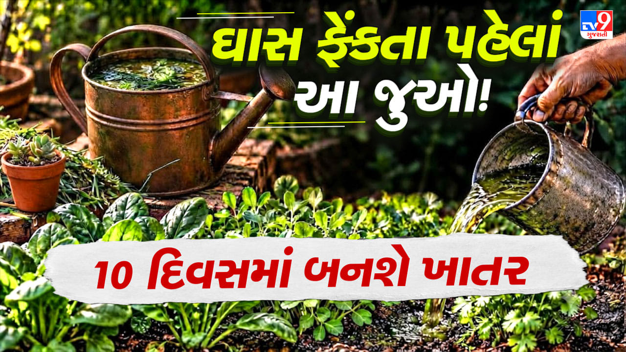 Nitrogen-Rich Liquid Fertilizer from Grass : ઘાસને કચરો સમજીને ફેંકી ન દેતા ! 10 દિવસમાં બની જશે છોડ માટે જબરદસ્ત ખાતર