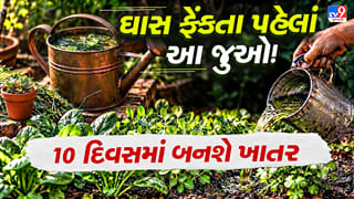 Nitrogen-Rich Liquid Fertilizer from Grass : ઘાસને કચરો સમજીને ફેંકી ન દેતા ! 10 દિવસમાં બની જશે છોડ માટે જબરદસ્ત ખાતર