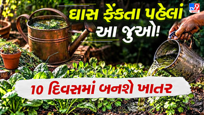 કાપેલી ઘાસમાંથી બનાવો નાઇટ્રોજનથી ભરપૂર લિક્વિડ ખાતર