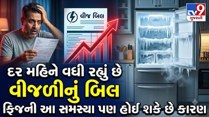 ફ્રિજમાં બરફ જમા થતો હોય તો સાવધાન! વધી શકે છે તમારું વીજળીનું બિલ