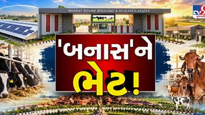 બનાસકાંઠા: ભીલડીમાં 324.77 કરોડ ના ખર્ચે તૈયાર થયુ પશુ સંવર્ધન કેન્દ્ર
