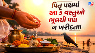 Pitru Paksha 2026 : પિતૃ પક્ષમાં ભૂલથી પણ ઘરે ન લાવશો આ 5 વસ્તુઓ! માન્યતા છે કે પિતૃઓ નારાજ થઈ શકે છે