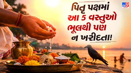 પિતૃ પક્ષમાં ભૂલથી પણ ઘરે ન લાવશો આ 5 વસ્તુઓ! જાણો શું છે માન્યતા