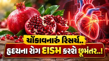 Heart Health : હૃદયની બીમારી સામે દાડમનો કમાલ!