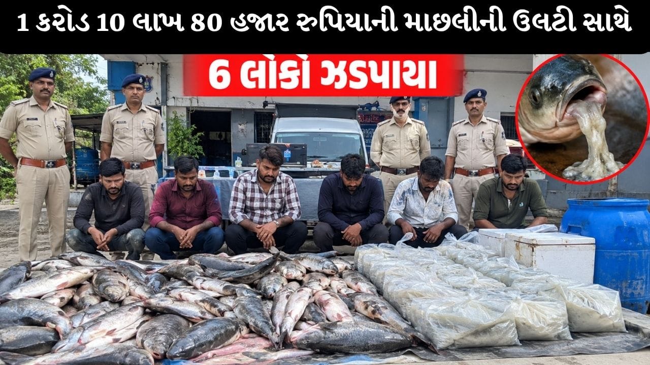 Breaking News : રાજકોટમાં 1 કરોડ 10 લાખ 80 હજાર રુપિયાની માછલીની ઉલટી સાથે 6 લોકો ઝડપાયા, જુઓ Video Breaking News : રાજકોટમાં 1 કરોડ 10 લાખ 80 હજાર રુપિયાની માછલીની ઉલટી સાથે 6 લોકો ઝડપાયા, જુઓ Video
