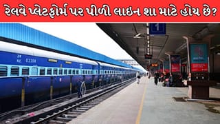 રેલવે પ્લેટફોર્મ પર પીળી લાઇન શા માટે બનાવવામાં આવે છે ? જાણો તેની પાછળનું મોટું કારણ