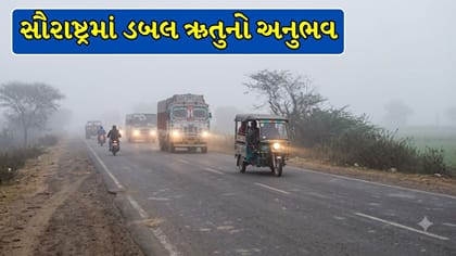 સૌરાષ્ટ્રમાં ડબલ ઋતુનો અનુભવ, સવારે ઠંડી તો બપોરે ગરમી ! Video
