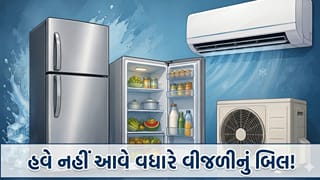 Reduce Electricity Bill : ફ્રિજ અને AC ચલાવવાથી આવે છે વધારે બિલ ? તો બસ આટલું કરશો તો ઘટશે વીજળીનું બિલ!