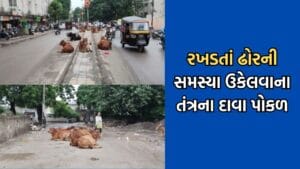 જુનાગઢમાં રોડ પરના ખાડા અને રખડતા ઢોરની સમસ્યાથી શહેરીજનો ત્રાહિમામ, મનપાના તમામ દાવાનો ફિયાસ્કો- Video