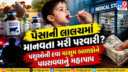 સુરત: પશુઓની દવા બાળકોને પધરાવી, પૈસા માટે માનવતા ભૂલ્યા વેપારીઓ!