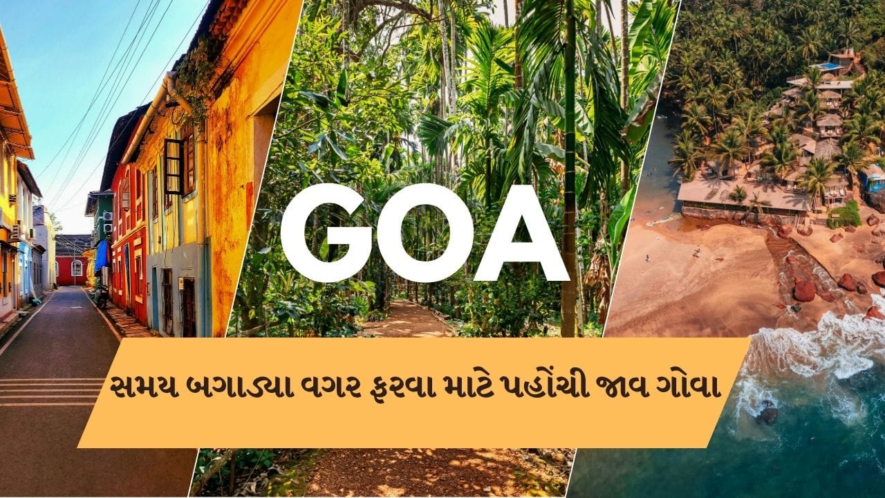 જો તમે પણ ઓક્ટોમ્બર-નવેમ્બર મહિનામાં પરિવાર , ફ્રેન્ડ અથવા પત્ની સાથે ગોવા ફરવાનો પ્લાન બનાવી રહ્યા છો. તો આ એકદમ પરફેક્ટ સમય છે.આજે અમે તમને જણાવીશું કે, ગોવામાં ફરવા માટે ક્યાં સ્થળો સુંદર છે. તેમજ અહી તમે એડવેન્ચર એક્ટિવિટીનો પણ આનંદ માણી શકો છો.