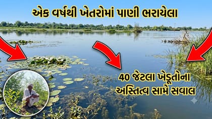 વાવ થરાદના 40 થી વધુ ખેડૂતો એક વર્ષથી ખેતરોમાં ભરાયેલા પાણીથી ત્રસ્ત