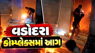 Vadodara Fire : વડોદરામાં ભીષણ આગ, ગેંડા સર્કલ નજીક કોમ્પ્લેક્સમાં ગભરાટનો માહોલ, જુઓ Video