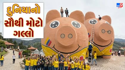 34 ફૂટ લાંબો અને 3 માળની બિલ્ડિંગ જેટલો ઊંચો 'ગલ્લો'