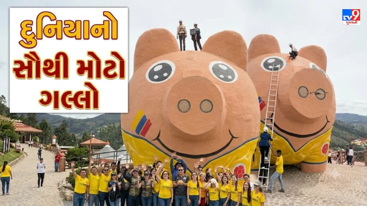 Trending Video: દુનિયાનો સૌથી મોટો ગલ્લો! 3 માળની બિલ્ડિંગ જેટલો ઊંચો, માણસ પણ દેખાય વામણો