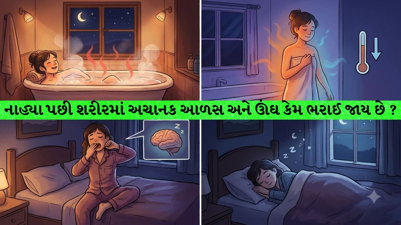 રાત્રે નાહ્યા પછી અચાનક સુસ્તી અને ઊંઘ કેમ ઘેરી વળે છે? જાણો તેની પાછળનું વૈજ્ઞાનિક સત્ય