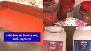 Breaking News : અમદાવાદના ગોતા અને બહેરામપુરામાંથી ટોમેટો કેચઅપના લીધેલા સેમ્પલ સબસ્ટાન્ડર્ડ, સિન્થેટિક કલરનો ઉપયોગ થયાનો રિપોર્ટ