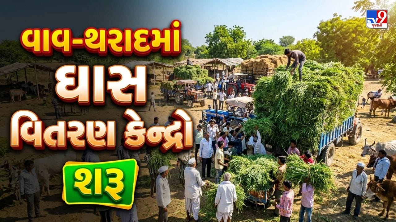 Breaking News: વાવ-થરાદમાં ઘાસ વિતરણ કેન્દ્રો શરૂ, પશુપાલકોને કિલોદીઠ રૂ. 2માં મળશે ઘાસચારો, જુઓ Video