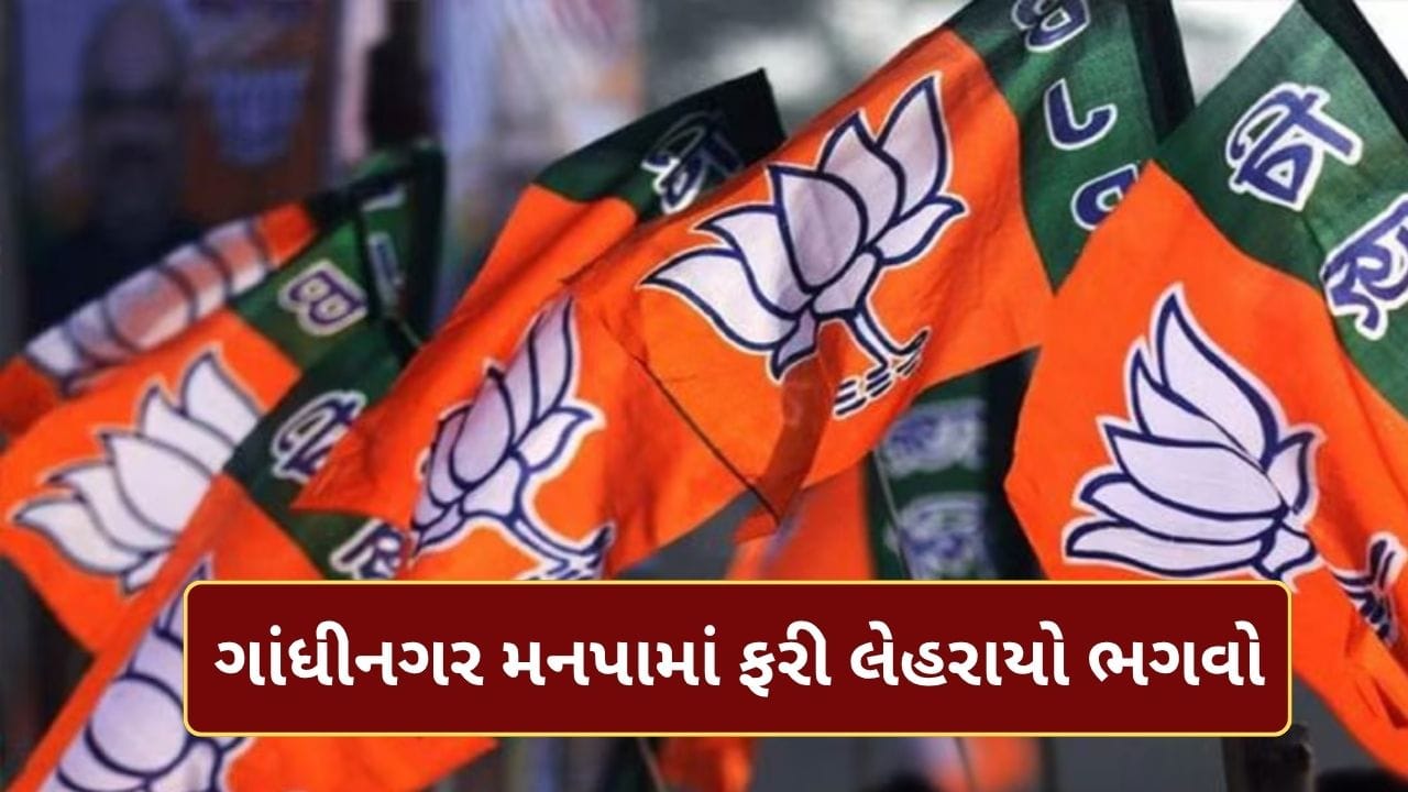 Breaking News : ગાંધીનગર મહાનગરપાલિકામાં ફરી ભાજપનું શાસન, 44માંથી 38 બેઠકો પર મેળવ્યો ભવ્ય વિજય Breaking News : ગાંધીનગર મહાનગરપાલિકામાં ફરી ભાજપનું શાસન, 44માંથી 38 બેઠકો પર મેળવ્યો ભવ્ય વિજય