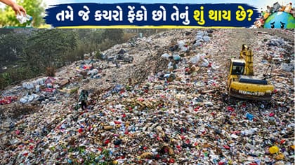 તમે જે કચરો ફેંકો છો તેનું શું થાય છે? જાણો