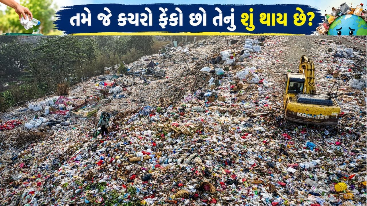 તમે ક્યારેય વિચાર કર્યો કે, જે કચરો ફેંકો છો તેનું શું થાય છે? જાણો