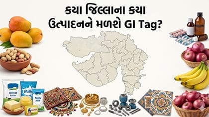 ગુજરાતના વધુ સ્થાનિક ઉત્પાદનોને મળશે GI Tag, સરકારની મોટી તૈયારી