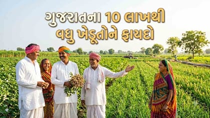કૃષિ ધિરાણ પર 2 % વ્યાજ રાહત પેટે રૂ.174.07 કરોડની સહાય મંજૂર