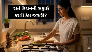 Kitchen Vastu Tips: રાત્રે સૂતા પહેલાં રસોડાની સફાઈ કરવી કેમ જરુરી ? જાણો 8 ખાસ નિયમો