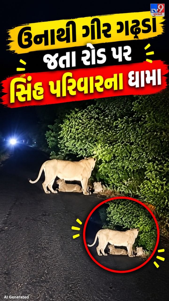 વડવીયાળા ગામ નજીક સિંહણ અને સિંહબાળ કેમેરામાં કેદ