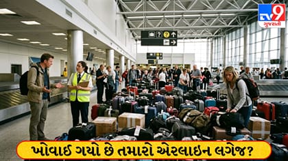 ફ્લાઇટમાં લગેજ ખોવાઈ જાય તો શું કરવું? જાણો વળતરના નિયમો!